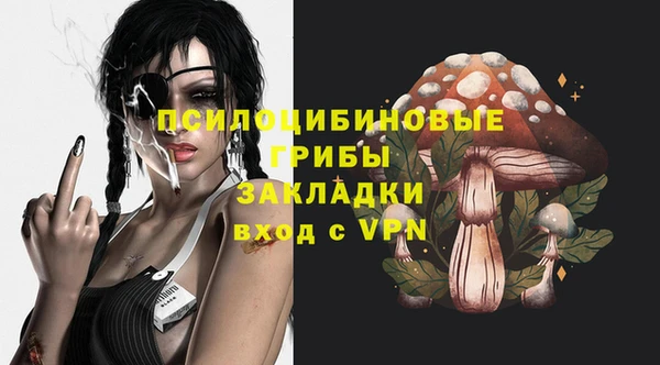 амф Зеленокумск