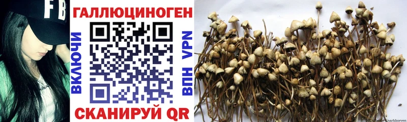 Галлюциногенные грибы ЛСД  наркошоп  Сенгилей 